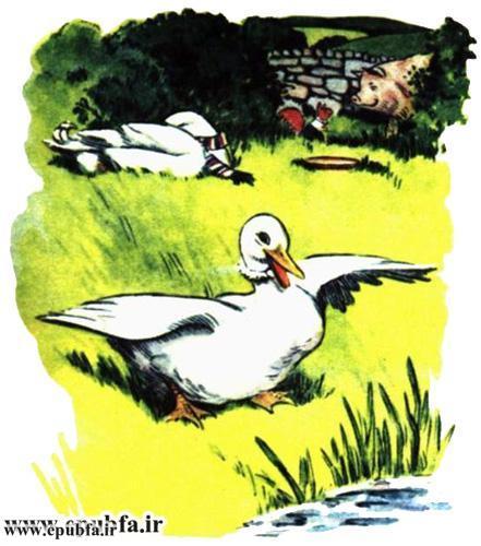 داستان مصور کودکانه آرزوی یک اردک نوشته پیلگریم برای کودکان ایپابفا (10).jpg
