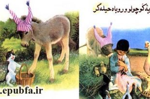 کاور-گربه کوچولو و روباه حیله گر (1)