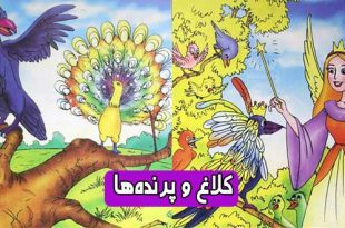 کتاب داستان مصور کودکانه کلاغ و پرنده‌ها