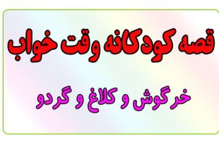 قصه-کودکانه-قبل-از-خواب-کودکان--خرگوش-و-کلاغ-و-گردو