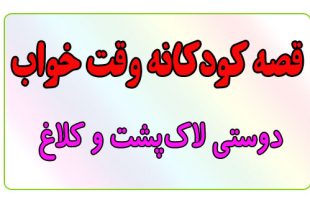 قصه-کودکانه-قبل-از-خواب-کودکان--دوستی-لاک‌پشت-و-کلاغ