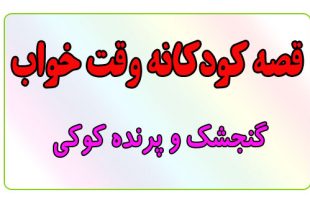 قصه-کودکانه-قبل-از-خواب-کودکان--گنجشک-و-پرنده-کوکی