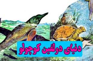 قصۀ کودکانه: دنیای دولفین کوچولو || نجات جان دولفین کوچولو 1