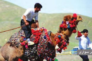 بازی‌های محلی و بومی ایران: بازی شترسواری