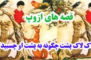 افسانه-هاي-ازوپ-لاکِ-لاک‌پش