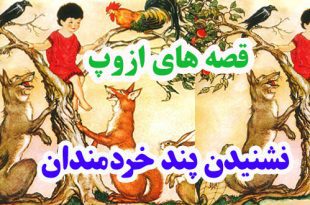 افسانه-هاي-ازوپ-نشنيدن-پند-