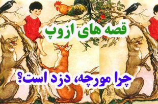 افسانه-هاي-ازوپ-چرا-مورچه،-