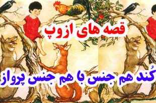 افسانه-هاي-ازوپ-کُند-هم‌جنس