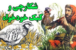 داستان-ازوپ-شکارچی-و-کبک-خودخواه