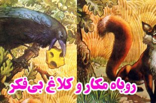 داستان-روباه-مکار-و-کلاغ-بی‌فکر