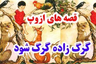 سيلي-نقد-قصه-ها-و-افسانه-ها