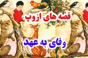 سيلي-نقد-قصه-ها-و-افسانه-ها