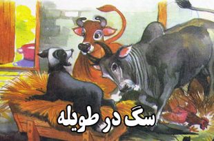 قصه-کودکانه-سگ-در-طویله