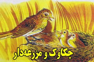 قصه-کودکانه-چکاوک-و-مزرعه-دار