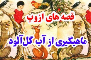 قصه‌های-ازوپ-ماهیگیری-از-آب-گل‌آلود