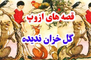 قصه‌های-ازوپ-گل-خزان-ندیده