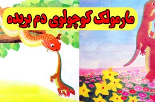 کتاب-قصه-کودکانه-مارمولک-کوچولوی-دم-بریده