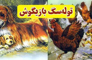 داستان کودکانه: توله‌سگ بازیگوش || پاکوتاه و پرندگان خشمگین 1