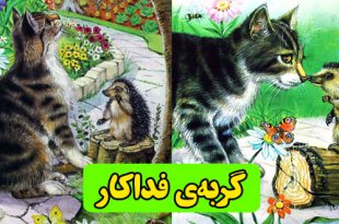 داستان-کودکانه-گربه‌ی-فداکار-(4)-