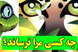 داستان کودکانه: چه کسی مرا ترساند؟ || در جستجوی شگفتی‌ها باش! 1