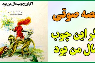 کتاب-قصه-صوتی-اگر-این-چوب-مال-من-بود-