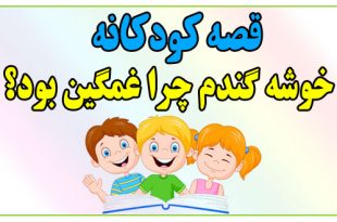 قصه-کودکانه-خوشه-گندم-چرا-غمگین-بود؟