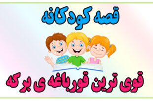 قصه-کودکانه-قوی‌ترین-قورباغه‌ی-برکه