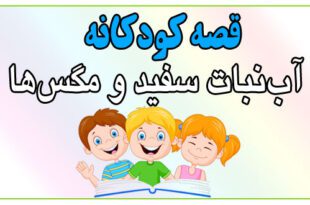 قصه-شب-کودک-آب‌نبات-سفید-و-مگس‌ها