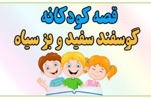 قصه-شب-کودک-گوسفند-سفید-و-بز-سیاه