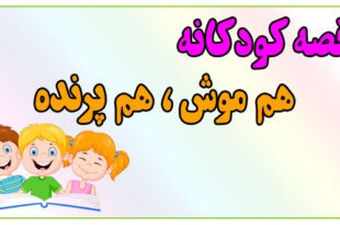 قصه-کودکانه-پیش-از-خواب-هم-موش،-هم-پرنده