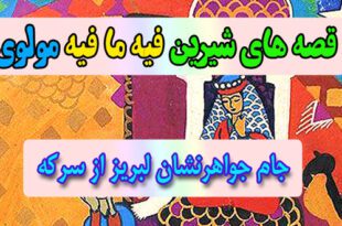 قصه-های-شیرین-فیه-ما-فیه-مولوی-جام-جواهرنشان-لبریز-از-سرکه