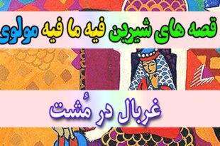 قصه-های-شیرین-فیه-ما-فیه-مولوی-غربال-در-مُشت