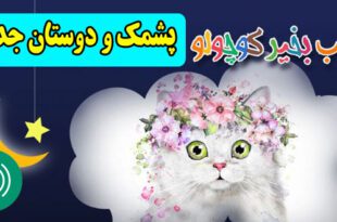 قصه-صوتی-کودکانه-پشمک-و-دوستان-جدید-مریم-نشیبا