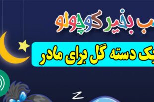 قصه-صوتی-کودکانه-یک-دسته-گل-برای-مادر660