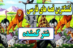 قشنگترین-قصه-های-فارسی-برای-کودکان-شتر-گمشده