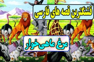 قصه های قشنگ فارسی: مرغ ماهی‌خوار / سرانجام دروغ و حیله گری 3