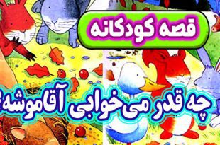 قصه-کودکانه-چه-قدر-می‌خوابی-آقاموشه؟-(1)-کاور