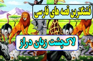  قصه های قشنگ فارسی: لاک‌پشت زبان‌دراز / عاقبت بدقولی لاک پشت به مرغابی ها 2