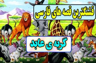 قصه های قشنگ: گربه‌ی عابد / ریاکاری عاقبت خوشی ندارد 1