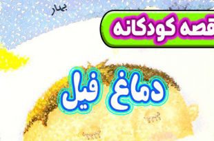 قصه-کودکانه-چینی-دماغ-فیل