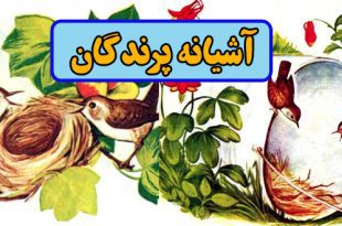 کتاب قصه کودکانه قدیمی آشیانه پرندگان