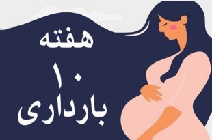 هفته-دهم-بارداری