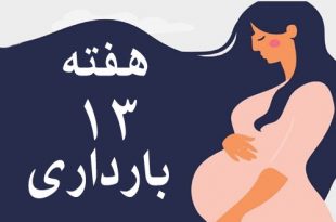 هفته-سیزدهم-بارداری