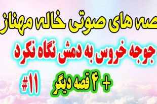  قصه-صوتی-کودکانه-جوجه-خروس-به-دمش-نگاه-نکرد-و-4-قصه-صوتی-دیگه