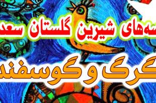 حکایات-و-قصه-های-گلستان-سعدی-گرگ-و-گوسفند