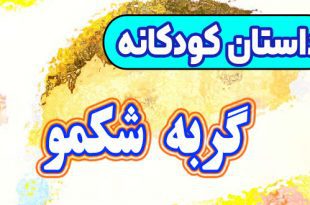 قصه-کودکانه-قبل-از-خواب-چینی-گربه-شکمو